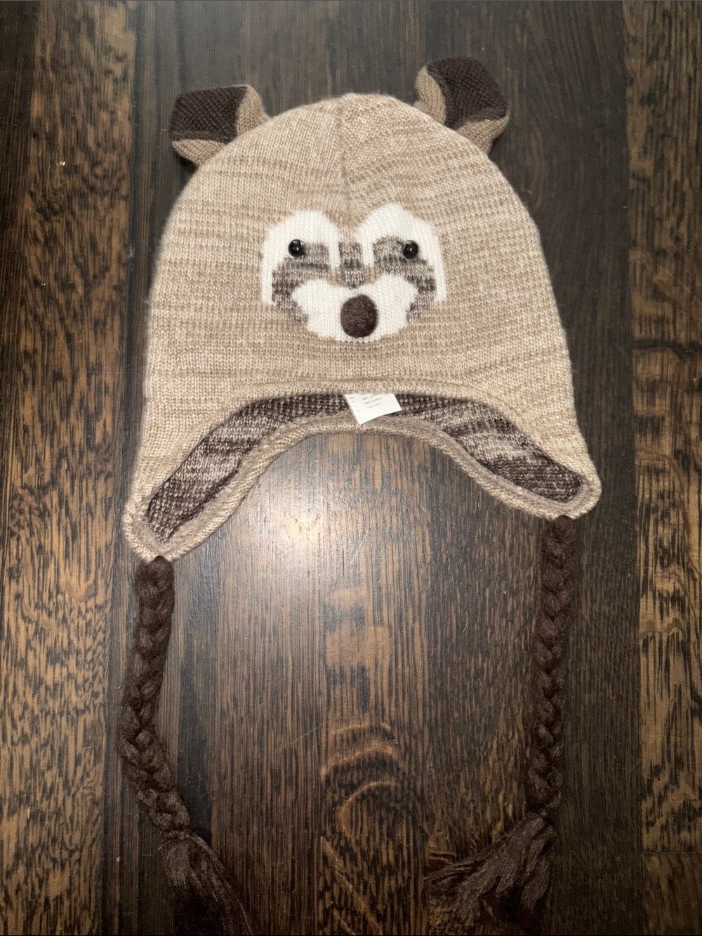 Raccoon critter kniited beanie